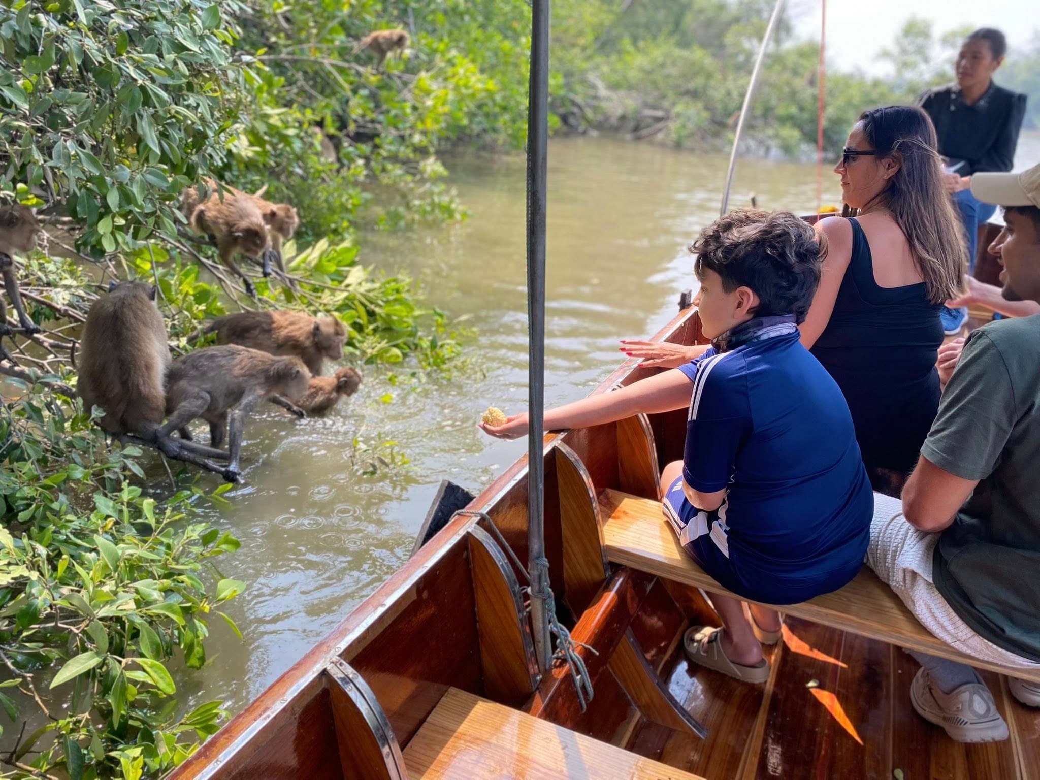 monkey feeding bangkok klong kone mangrove forest wild monkey boat tour bangkok mangrove forest bangkok day trip