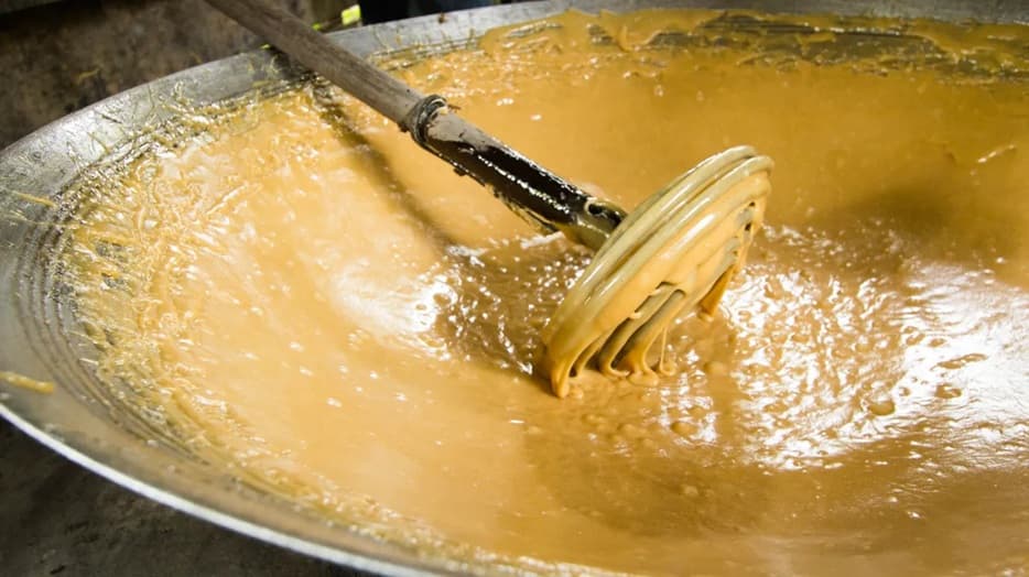 Elephant camp Damnoen Saduak Ratchaburi Thailand