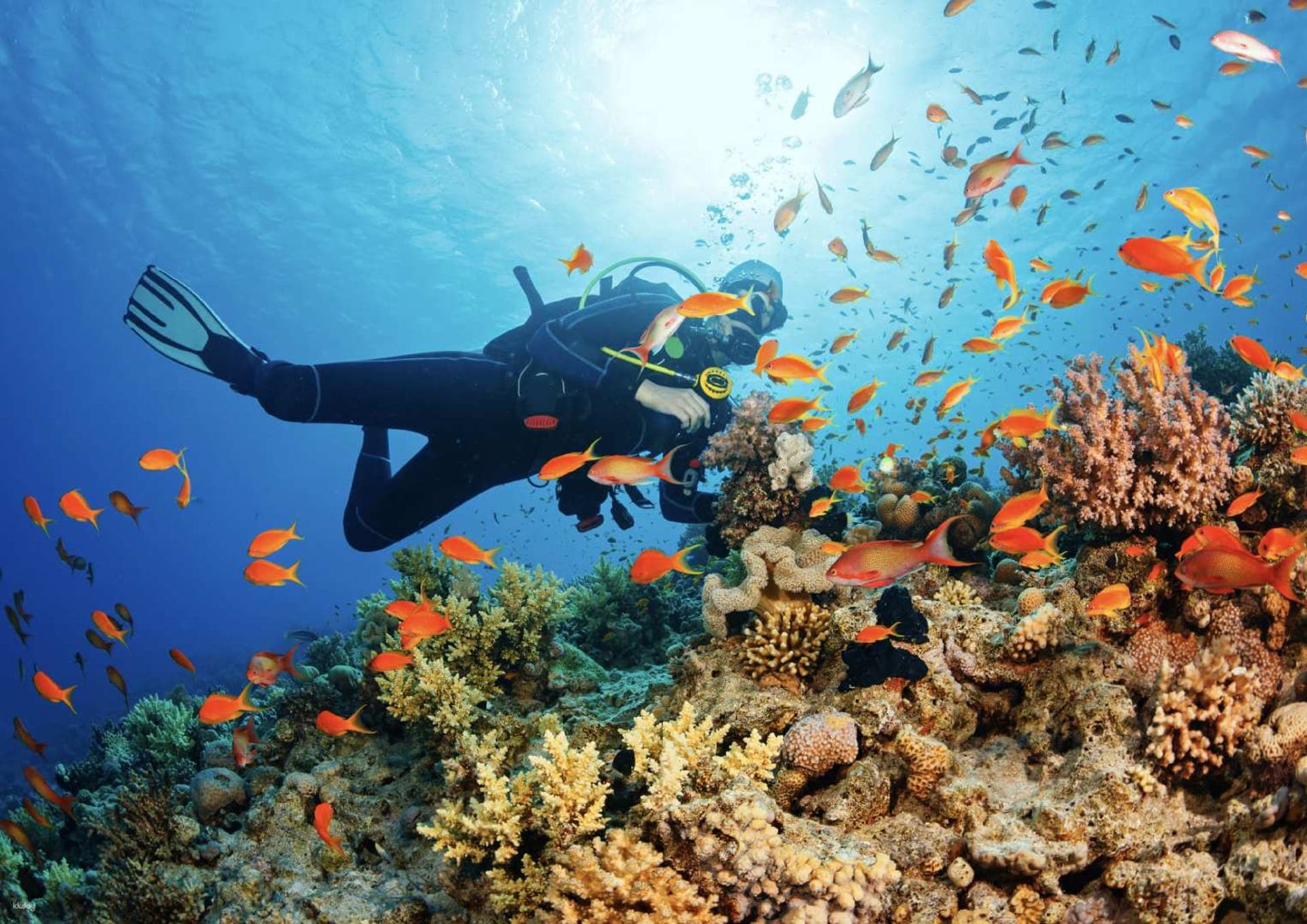 Beginner scuba diver underwater on a Pattaya Discover Scuba day trip