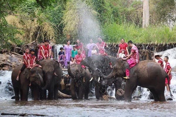 Karen hill tribe mahout walking with rescued elephant through jungle at Elephant Jungle Sanctuary Chiang Mai Mae Taeng Thailand