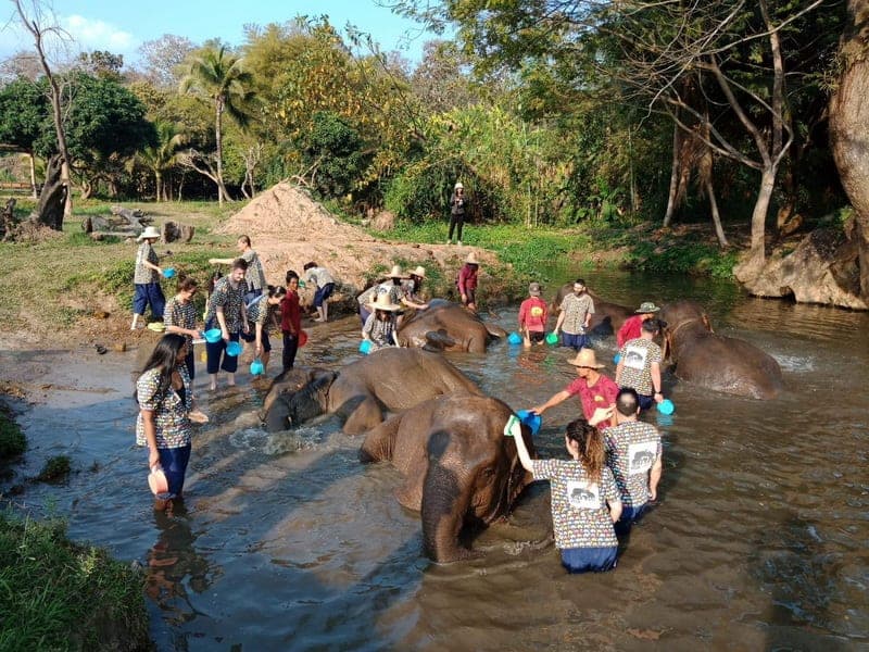 Guests bathing rescued elephants waist-deep in natural Mae Taeng River at Kanta Elephant Sanctuary Chiang Mai Thailand 2026