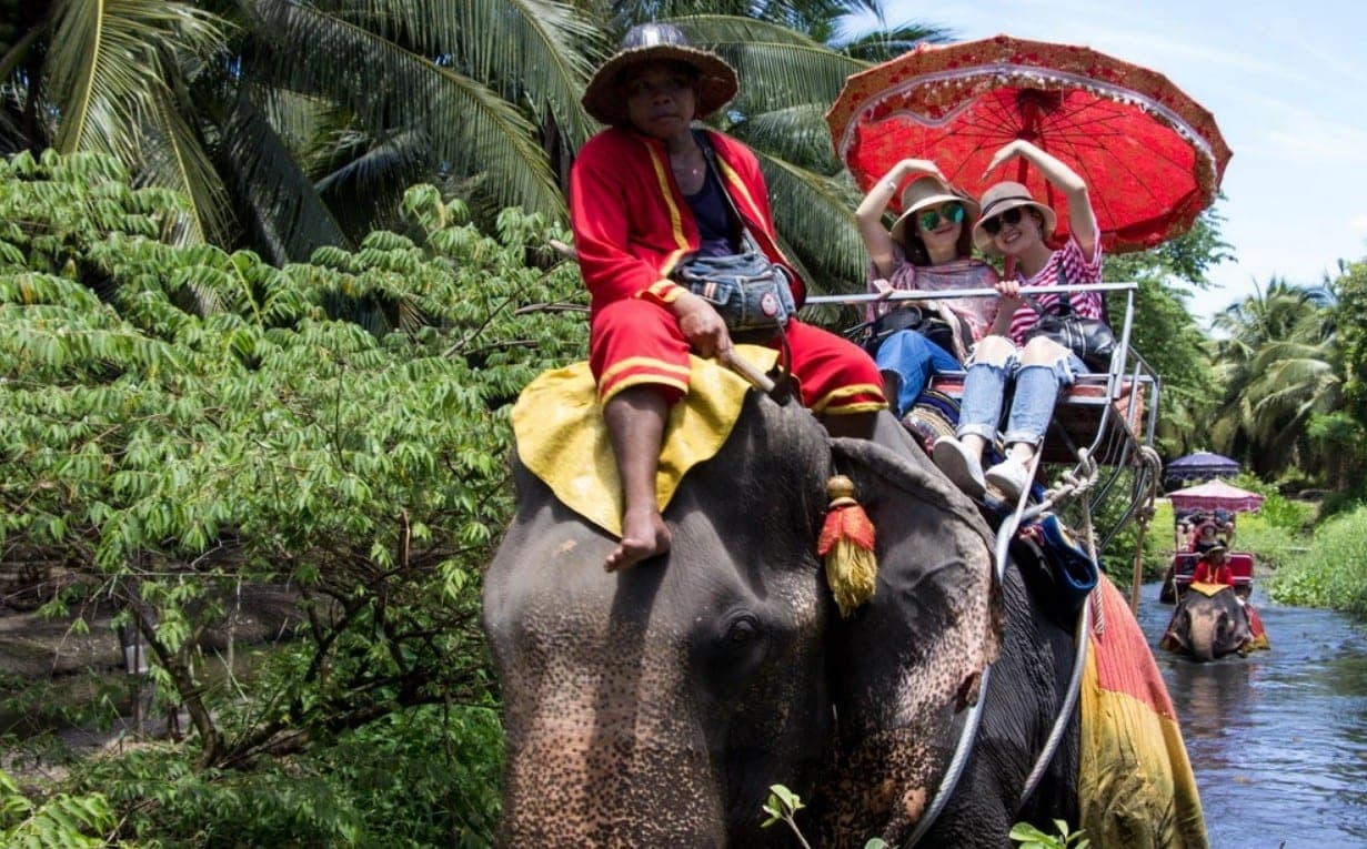 Elephant camp Damnoen Saduak Ratchaburi Thailand