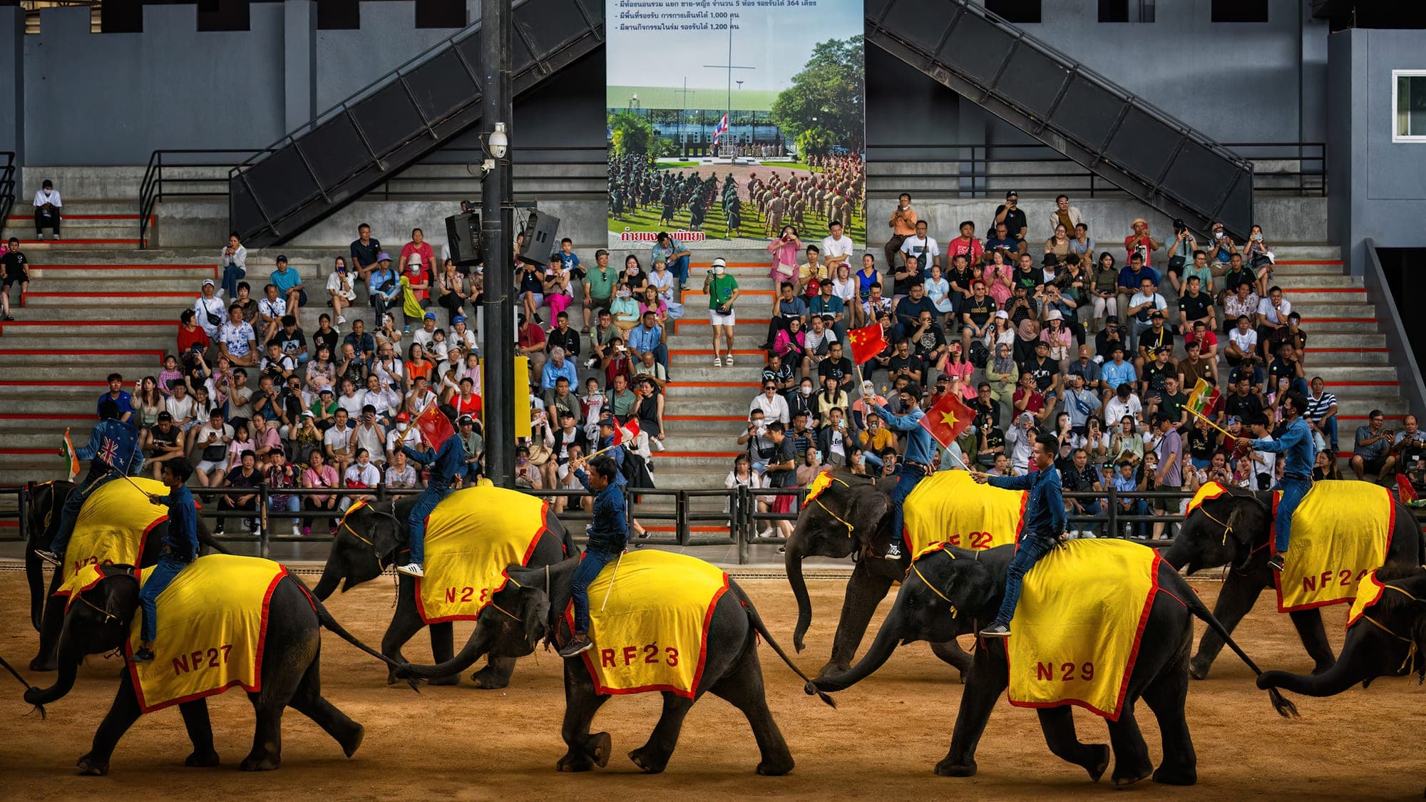 Nong Nooch Pattaya elephant show — elephants performing in the open arena before a seated crowd