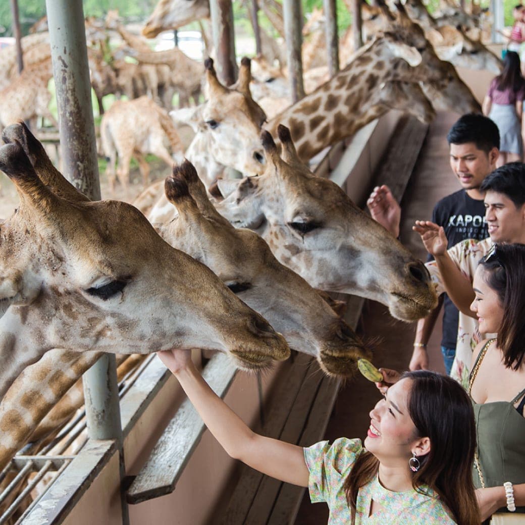 Safari World Bangkok — attività famiglie italiane Thailandia DMC agenzie