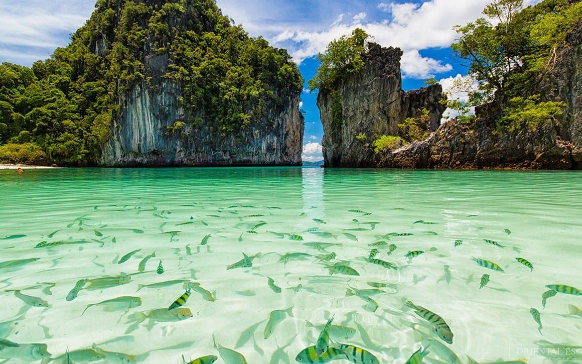 Hong Lagoon — the room within the island, turquoise water enclosed by 100-metre limestone cliffs on the Hong Islands tour from Krabi