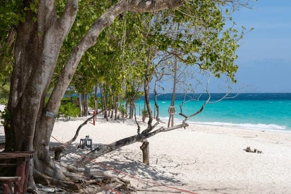Bamboo Island Krabi — white sand and clear shallow water on the Phi Phi Island speedboat tour