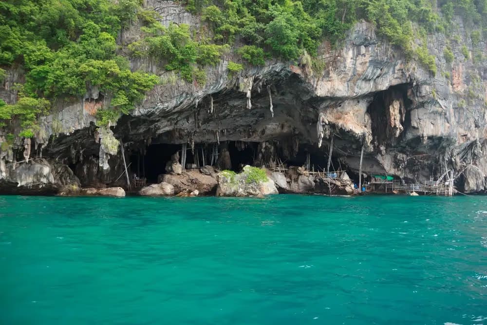 Viking Cave Phi Phi Leh — ancient paintings and swiftlet nests on the Krabi Phi Phi tour
