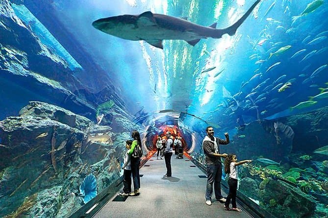 Underwater World Aquarium