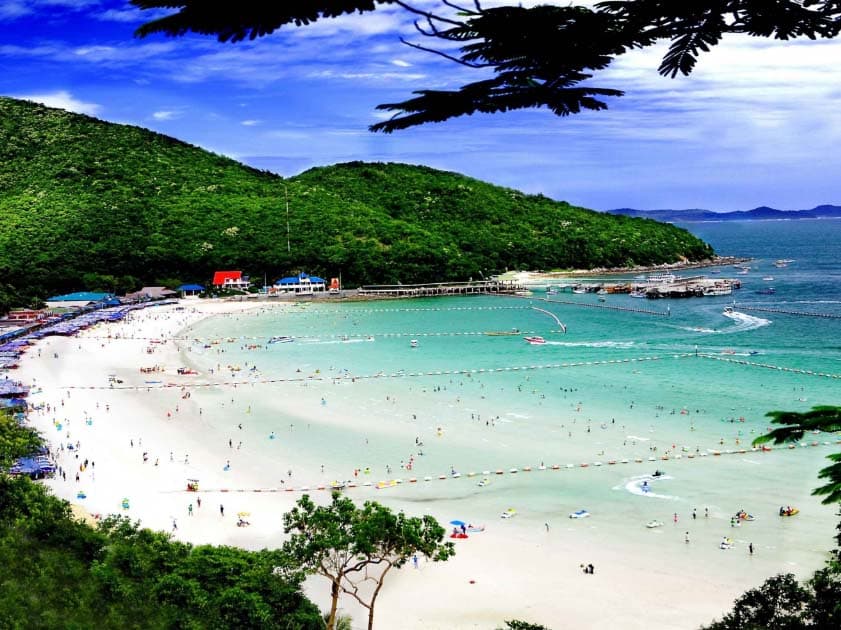 Pattaya Private Tour Service