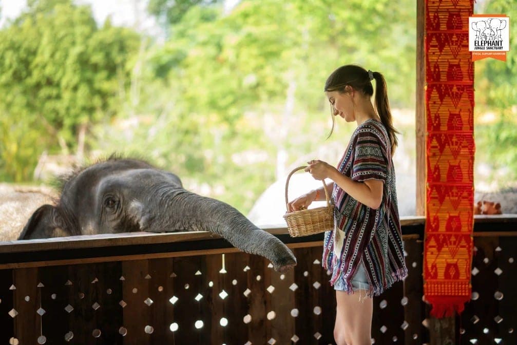 Karen hill tribe mahout with rescued elephant Elephant Jungle Sanctuary Chiang Mai Thailand