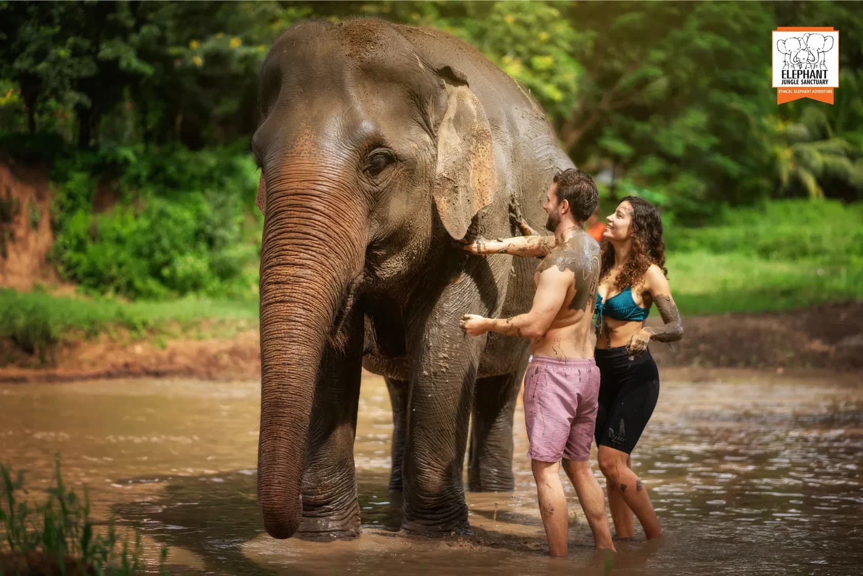 Elephant mud spa session at EJS Chiang Mai Mae Taeng jungle sanctuary Thailand