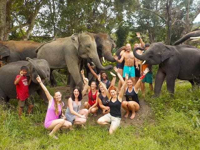 Family group with elephants Elephant Jungle Sanctuary half day tour Chiang Mai Thailand