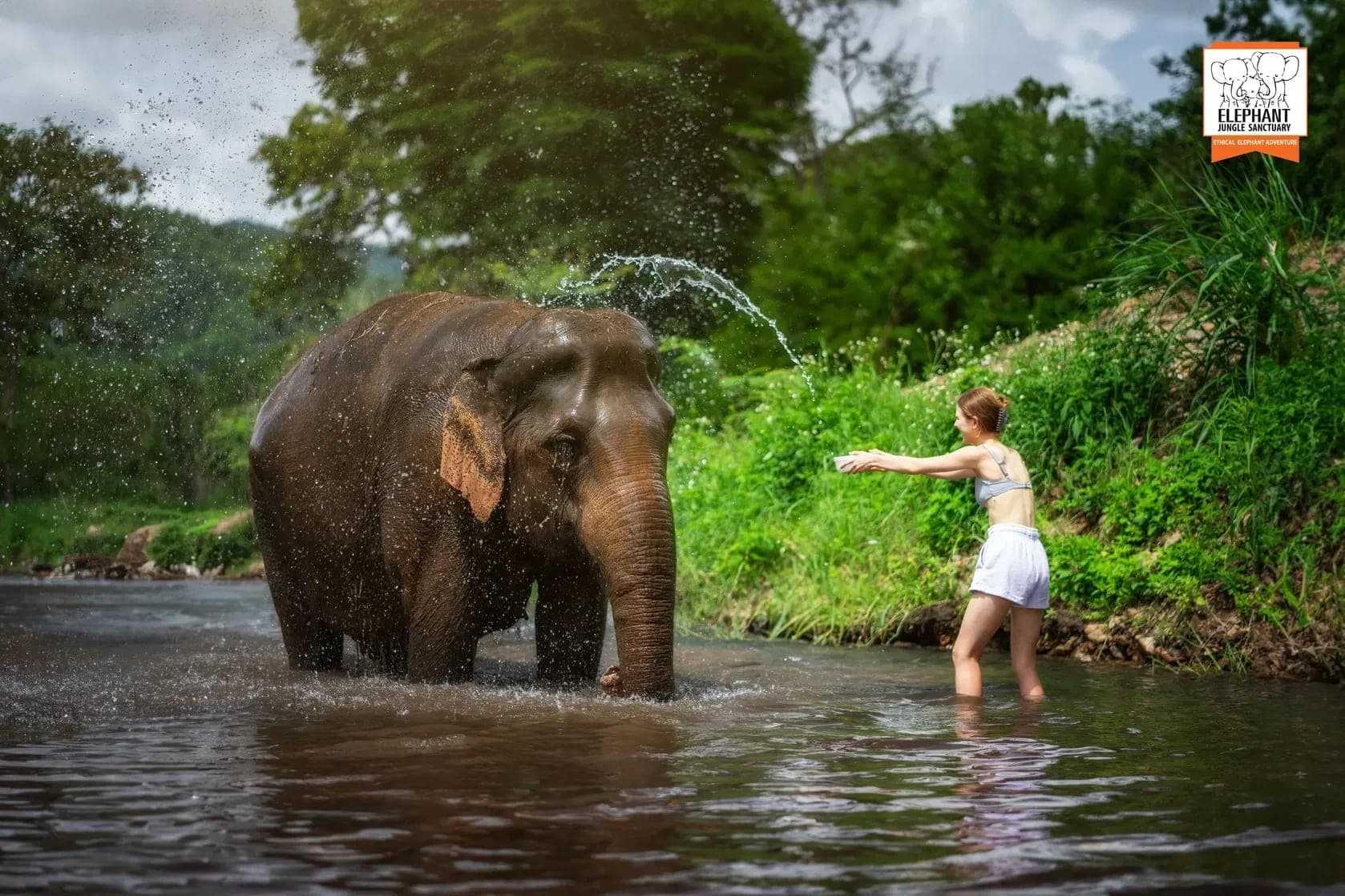 River bathing rescued elephants Elephant Jungle Sanctuary Chiang Mai Thailand 2026