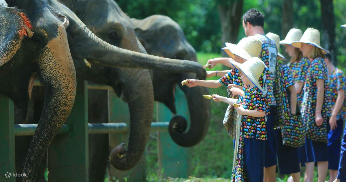 Family with young children at Kanta Elephant Sanctuary half day tour Chiang Mai Thailand