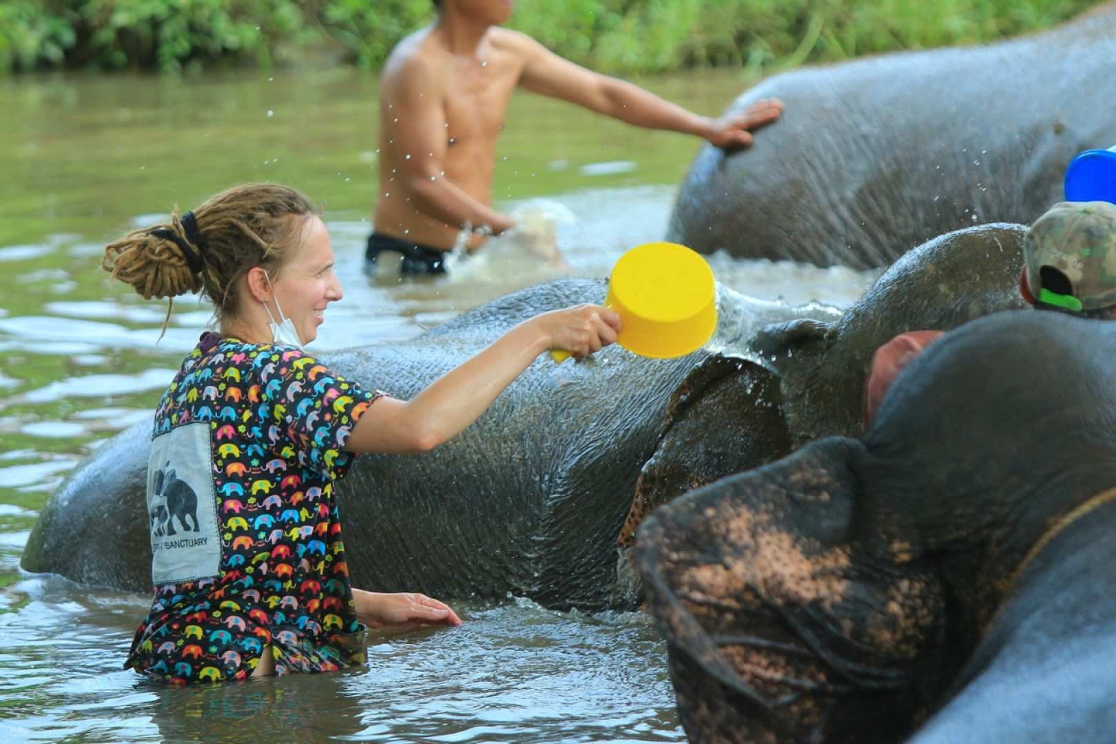 Guests bathing rescued elephants in natural Mae Taeng River at Kanta Elephant Sanctuary Chiang Mai Thailand