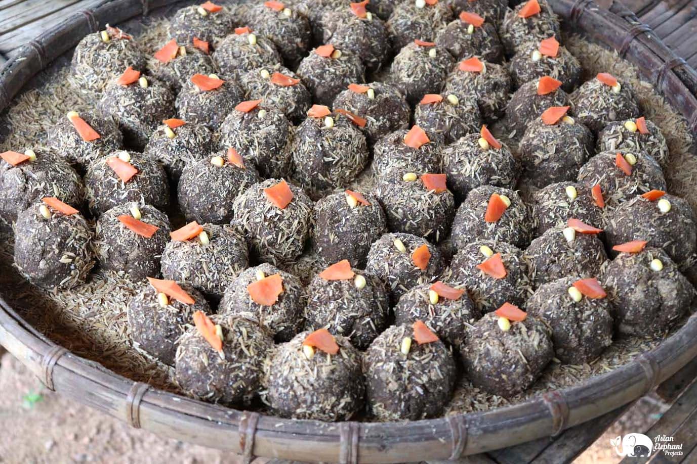 Making herbal vitamin medicine balls for rescued elephants Kanta Sanctuary Chiang Mai