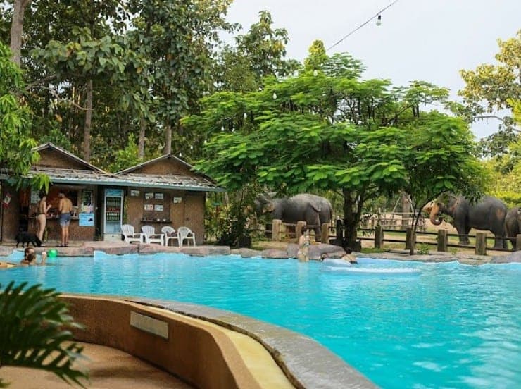 Guests relaxing in swimming pool at Maerim Elephant Sanctuary after elephant bathing Chiang Mai