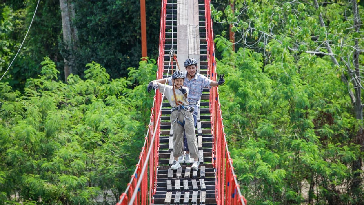 Rope sky bridge between platforms above the forest floor at Na Jomtien