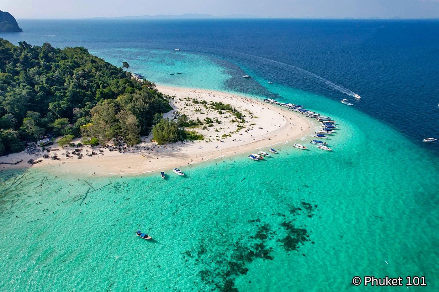 Bamboo Island Ko Mai Phai white sand beach casuarina pine trees turquoise water Phi Phi