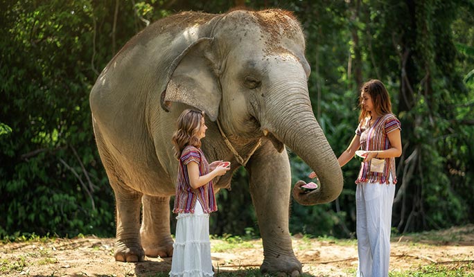Elephant Jungle Sanctuary Koh Samui Karen shirt traditional hill tribe clothing welcome