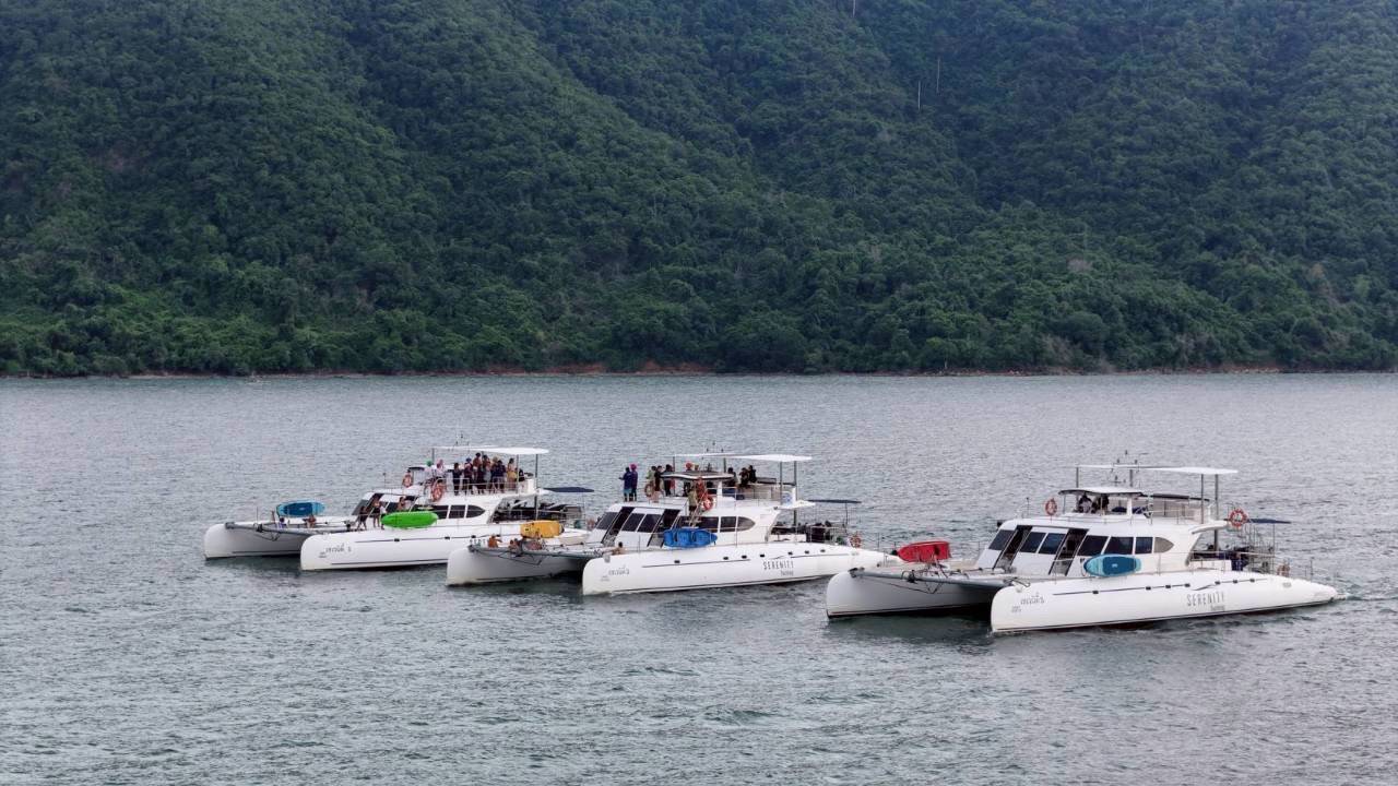 Fleet of Serenity Yachting catamarans anchored by a forested island on the Pattaya 3 island tour